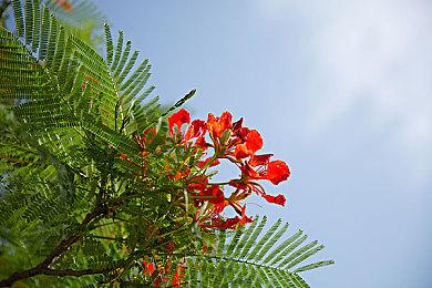 《伊苏10：北境历险》欧美版试玩已登陆PS4＆PS5＆PC